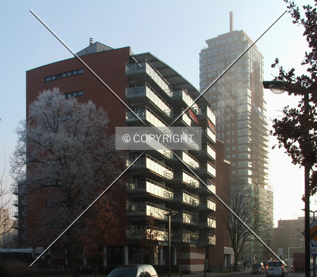 View from Oldenzaalsestraat