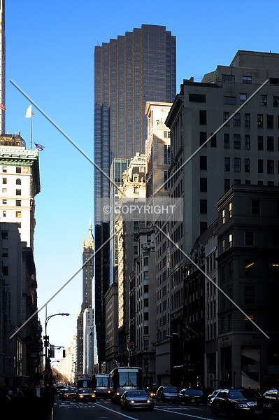Photo 369-704-132