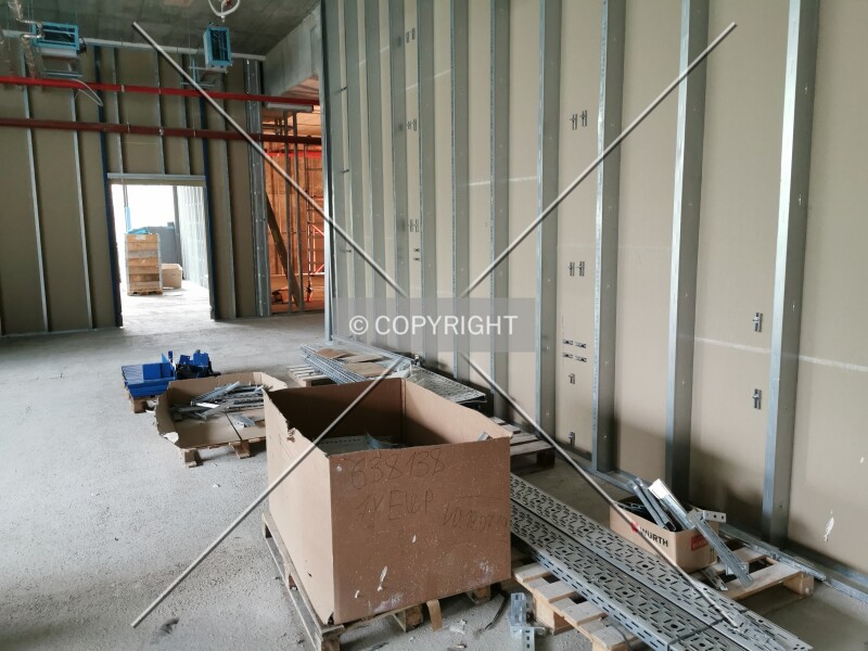 Photo 969-561-433