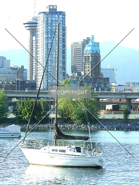 Photo 376-231-849