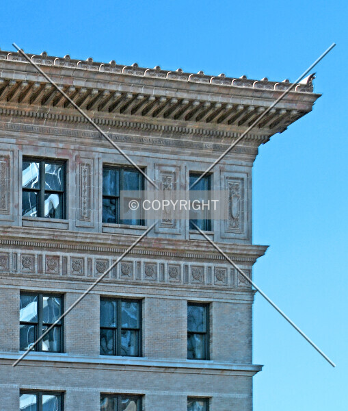 Photo 376-249-888
