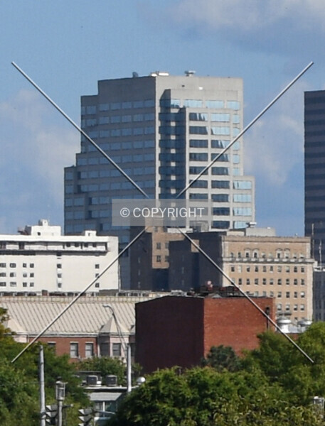 Photo 378-459-580