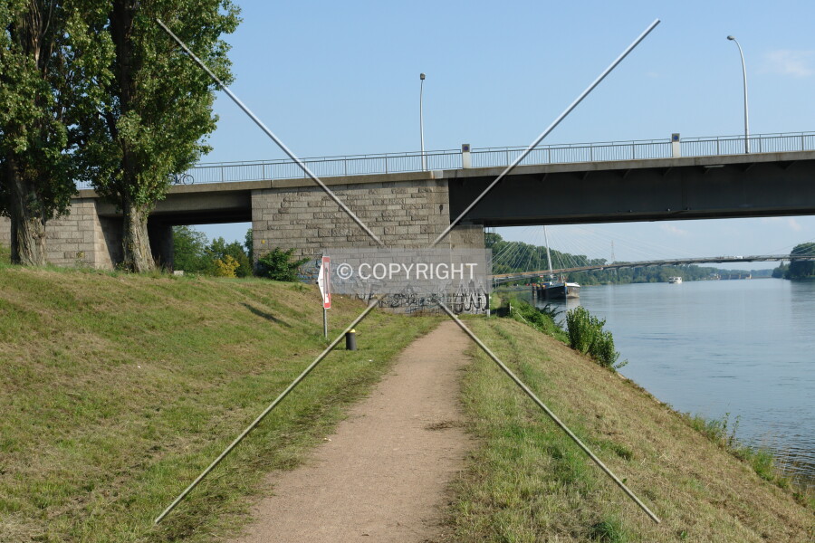 Photo 384-156-579