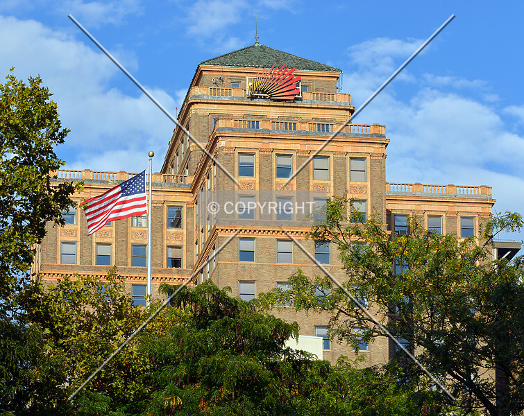 Photo 384-353-134