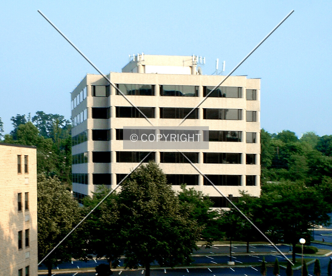 View from the northwest