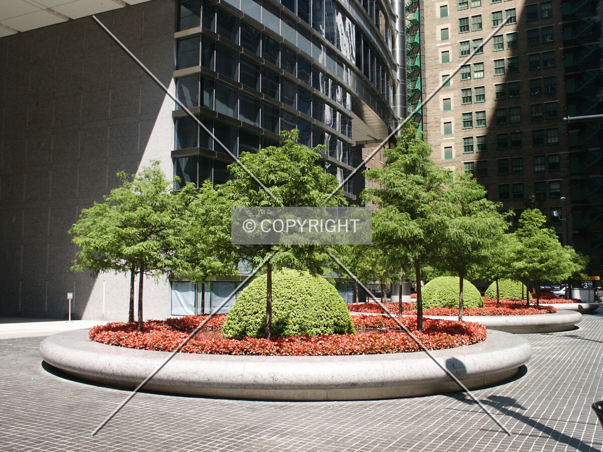 Landscaping on Franklin Street