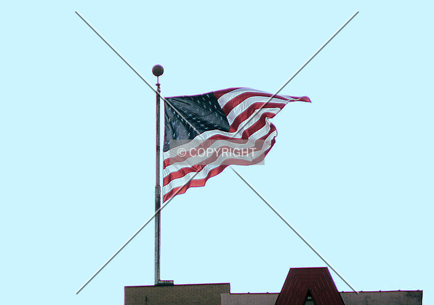 Photo 387-039-800