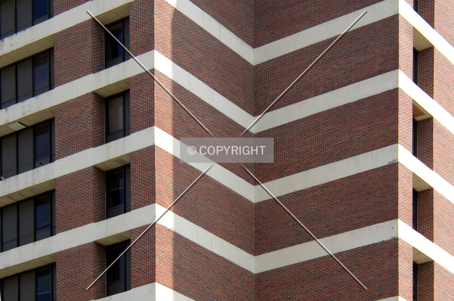 Photo 387-504-257