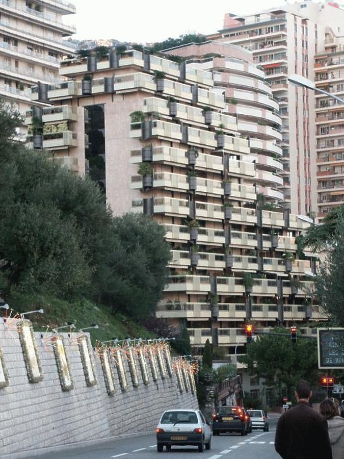 View from Jardine Exotique