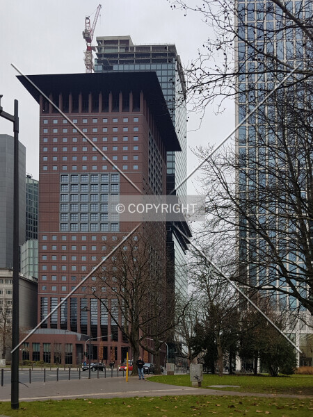 Photo 391-142-481