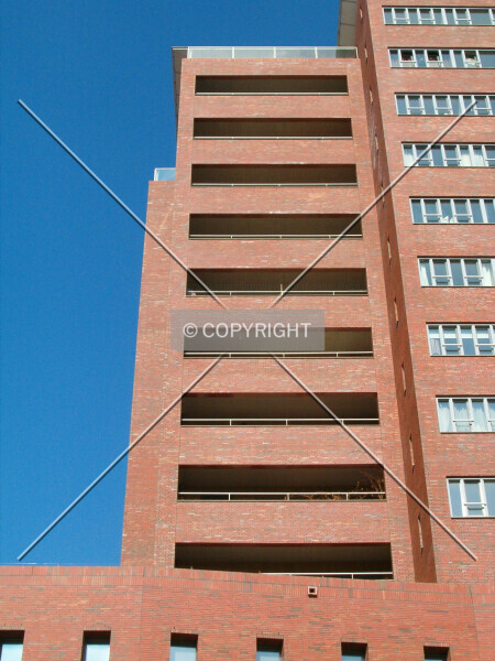 Photo 392-858-874