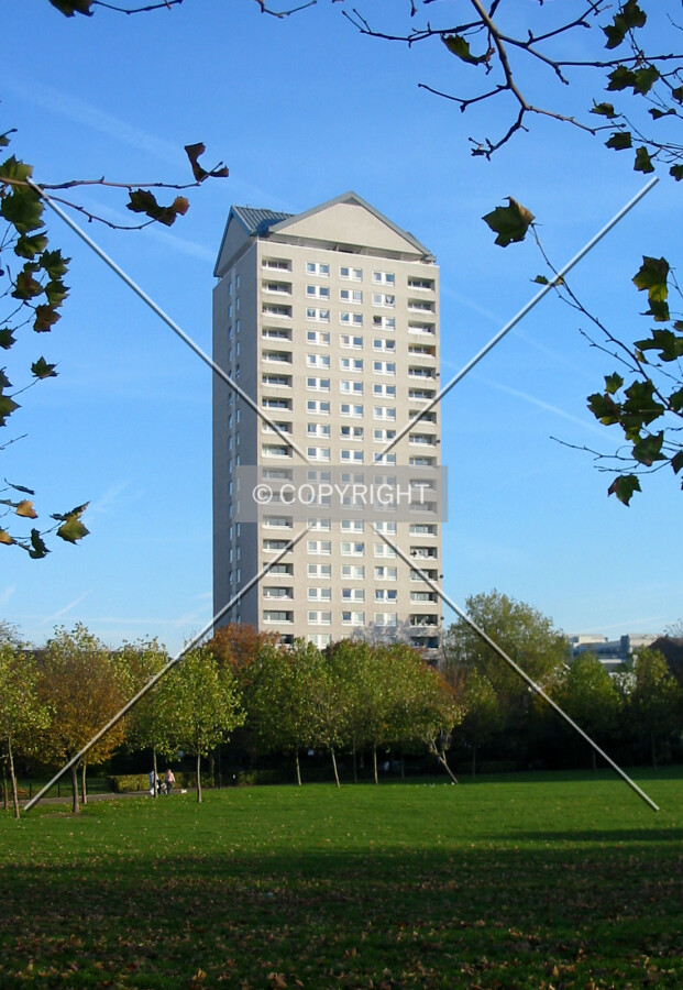 View from Sir John McDougall Gardens