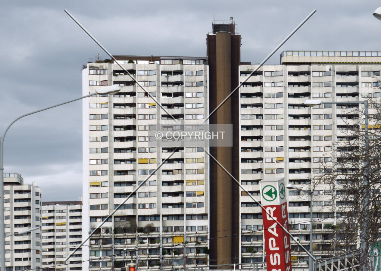 Photo 393-937-593