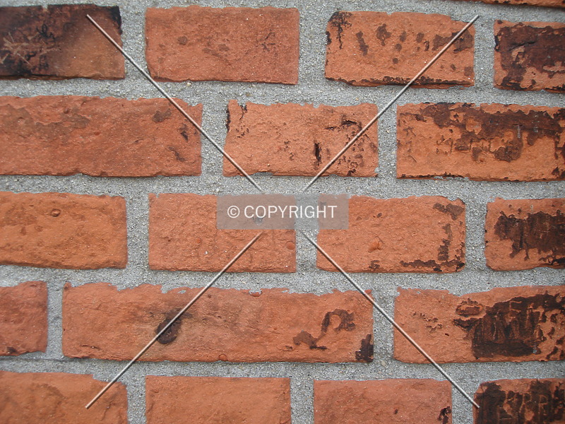 Photo 395-683-521