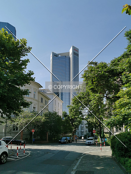 Photo 396-221-274