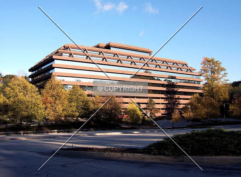 120 White Plains Road