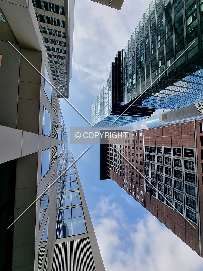 Looking up