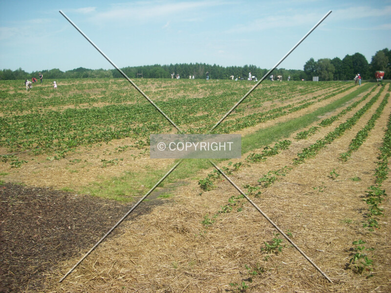Photo 400-556-414
