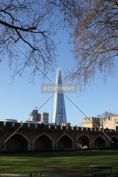 Photo 404-513-126