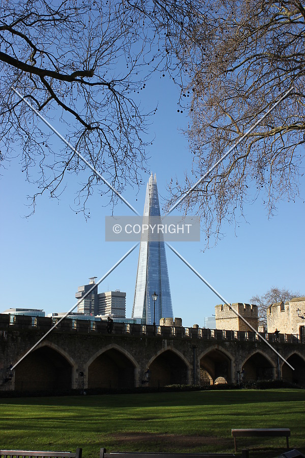 Photo 404-513-126