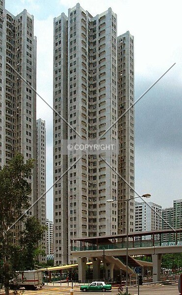 Photo 405-144-897
