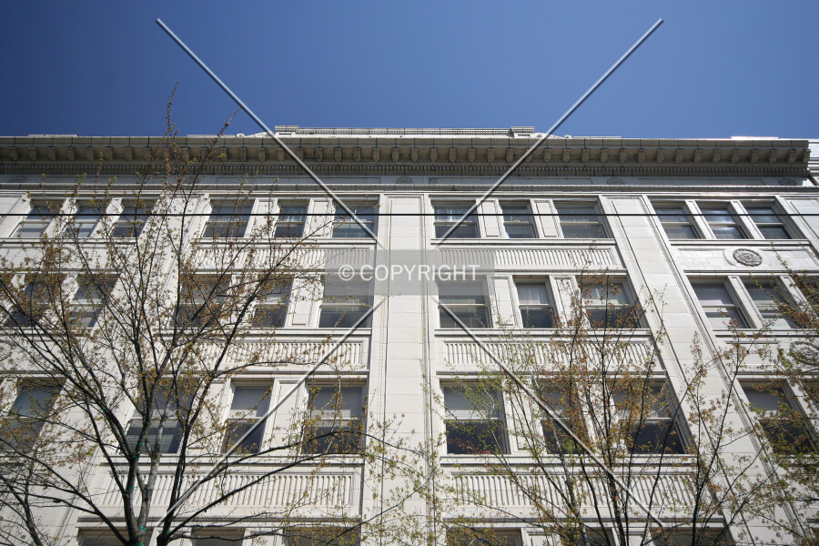 Photo 407-349-278