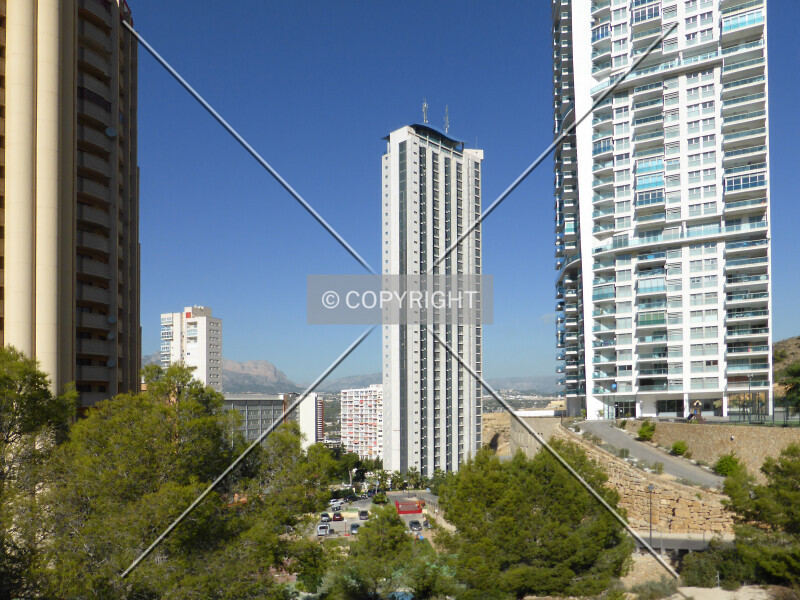 Photo 407-640-449