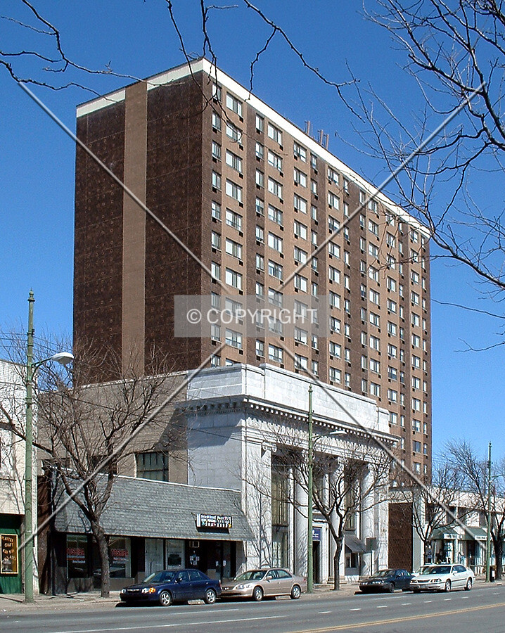 View from the south