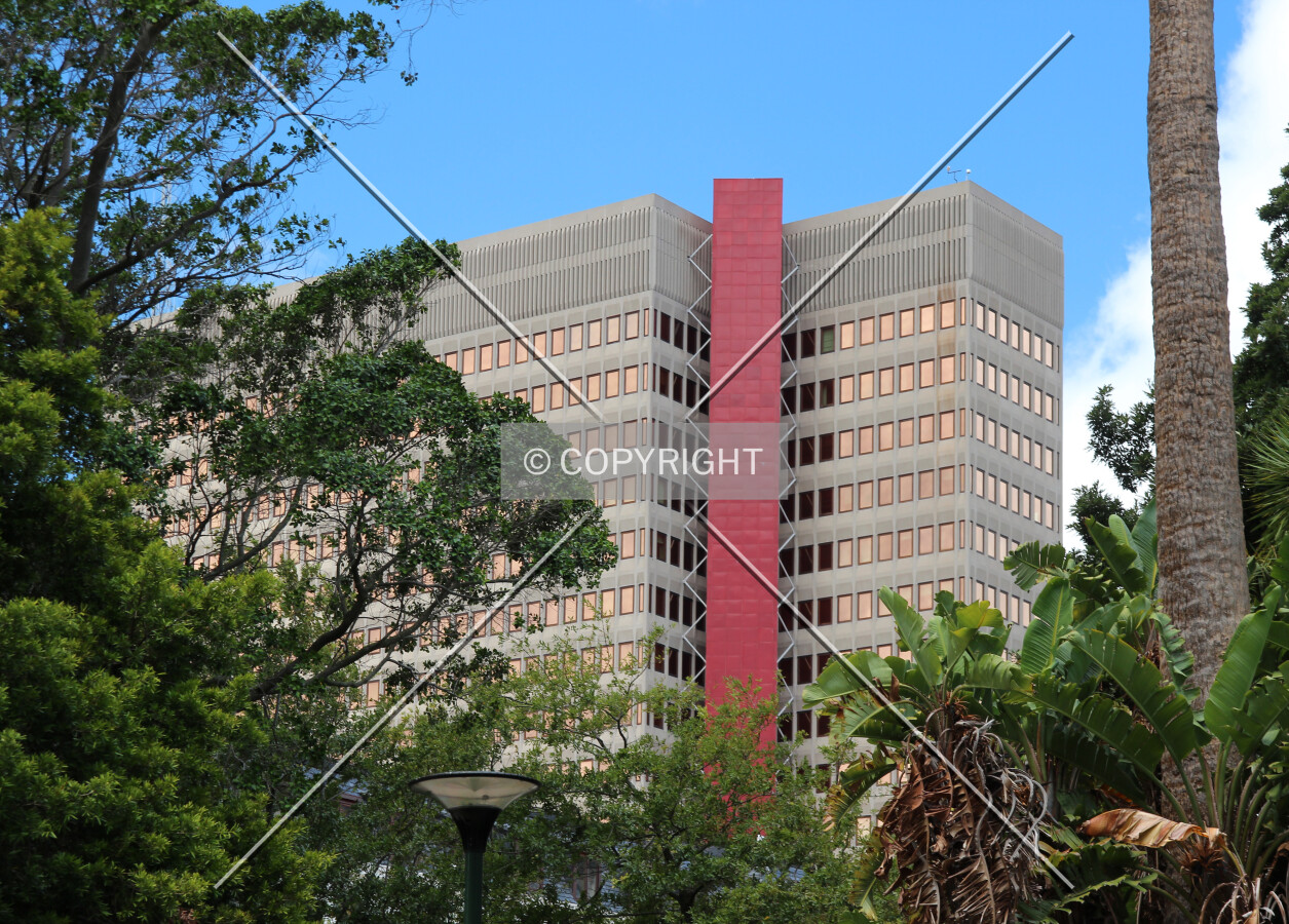 View from Company Gardens