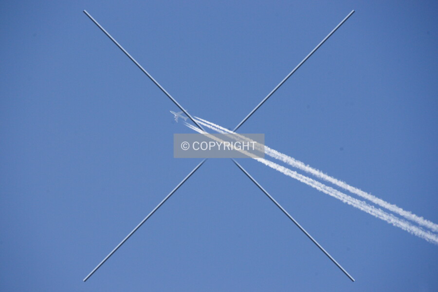 Airplane in the sky