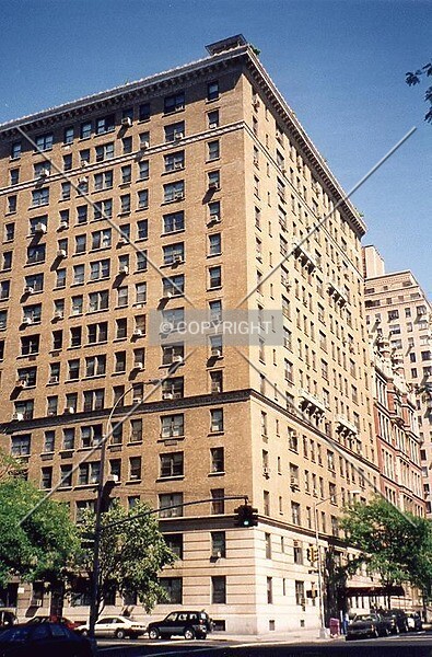 Photo 337-307-539