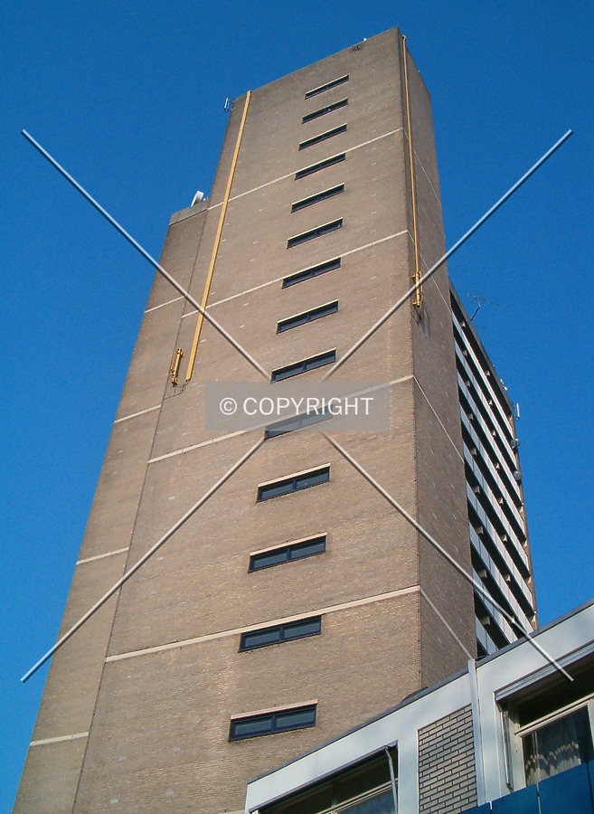 Looking up from the southeast