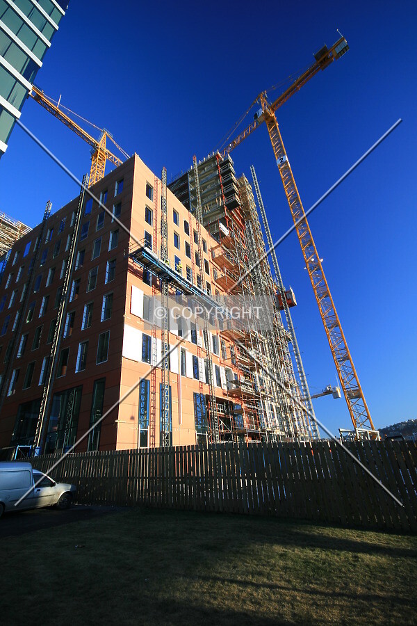 View from the west