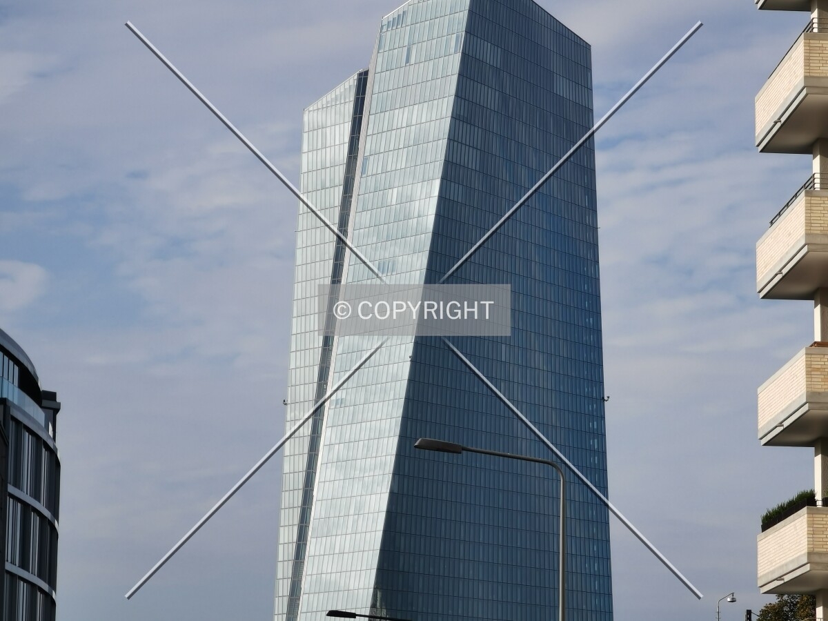 Photo 411-428-322