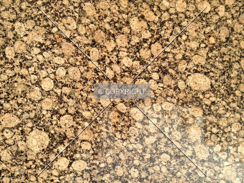 Photo 411-509-965