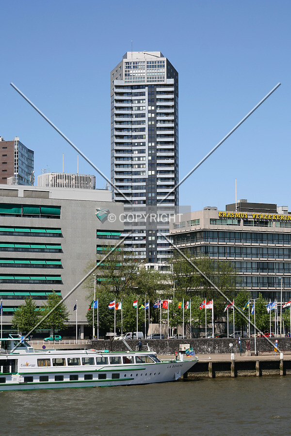 View from Nieuwe Maas