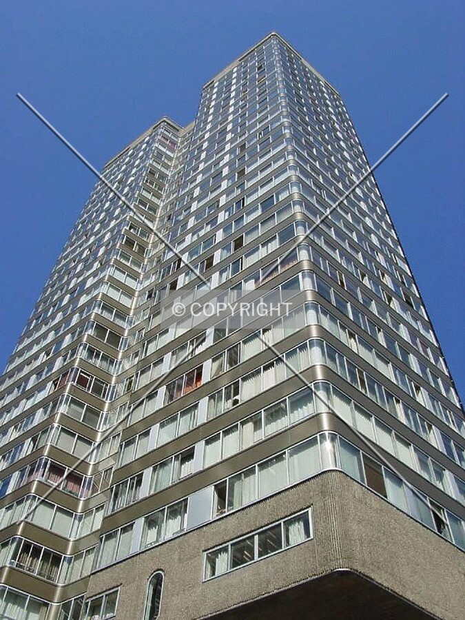 Straight up view