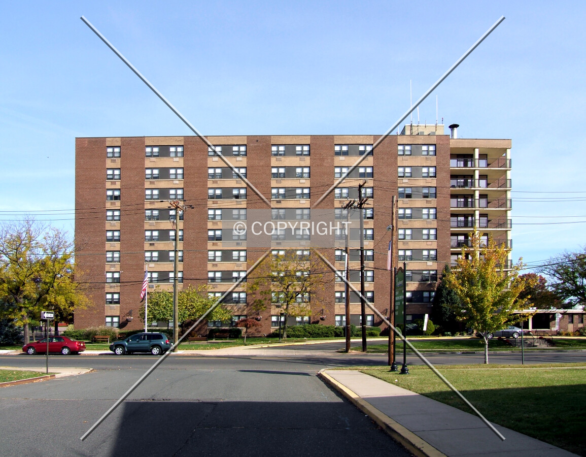 View from the southwest