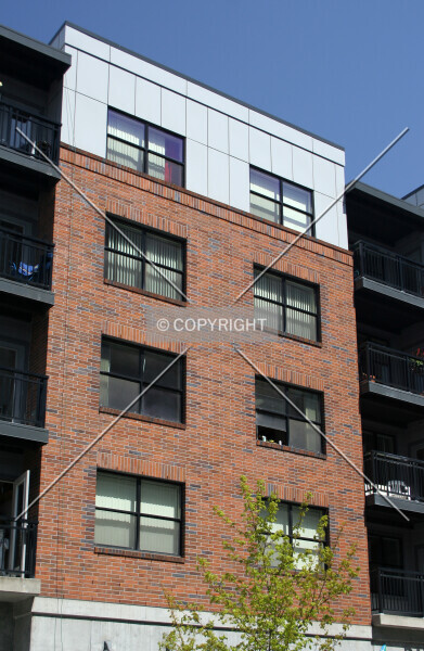 Photo 416-573-212