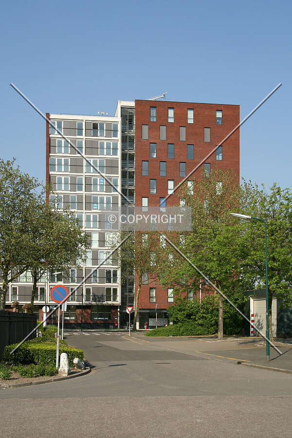 View from the southwest