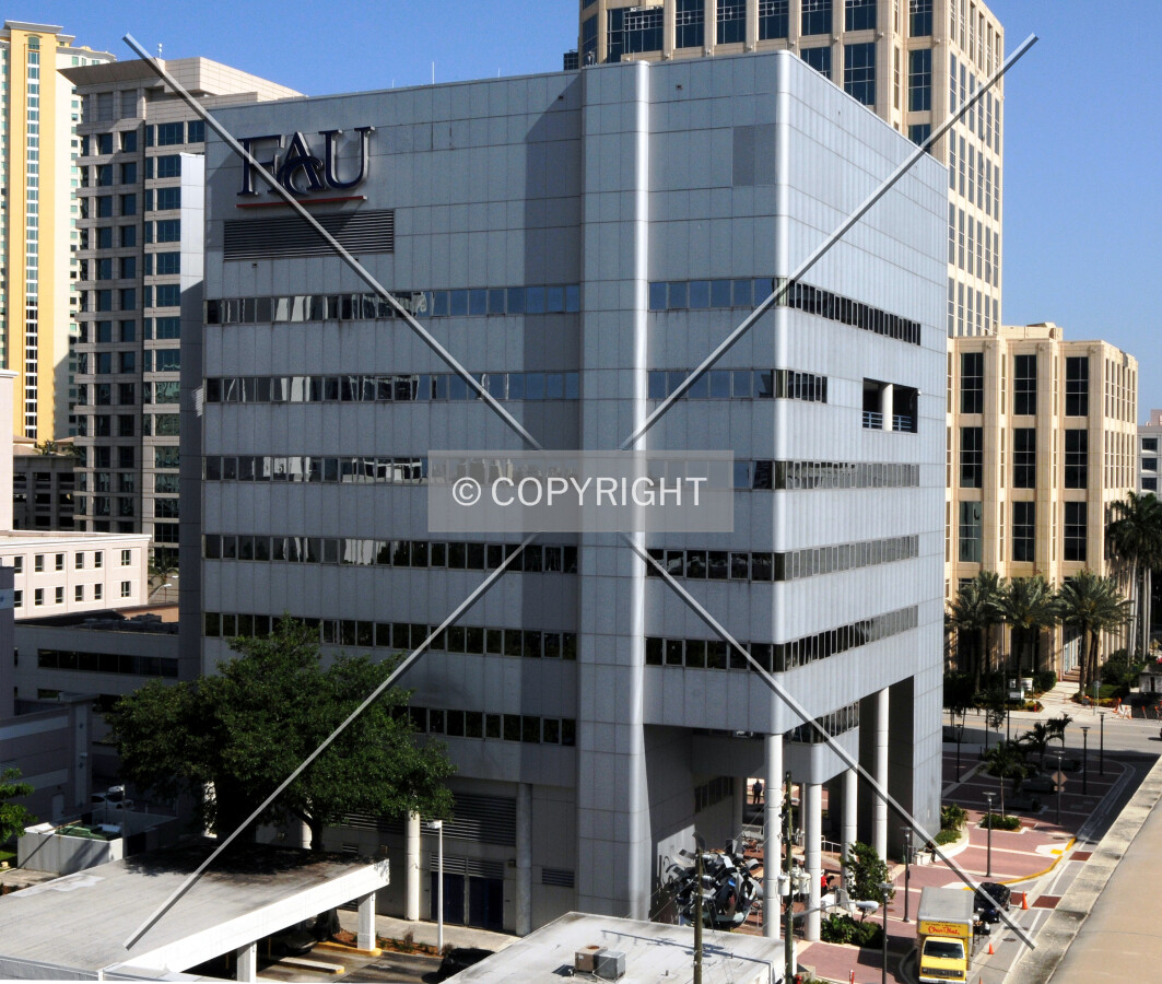 View from the northwest atop a parking garage