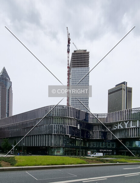 Photo 421-313-037