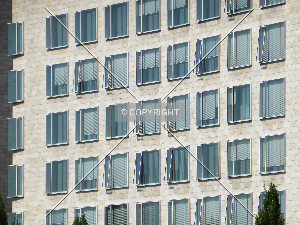 Facade and windows