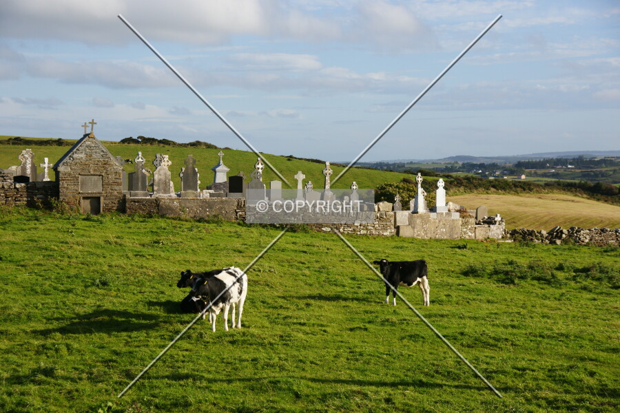 Landscape in Ireland