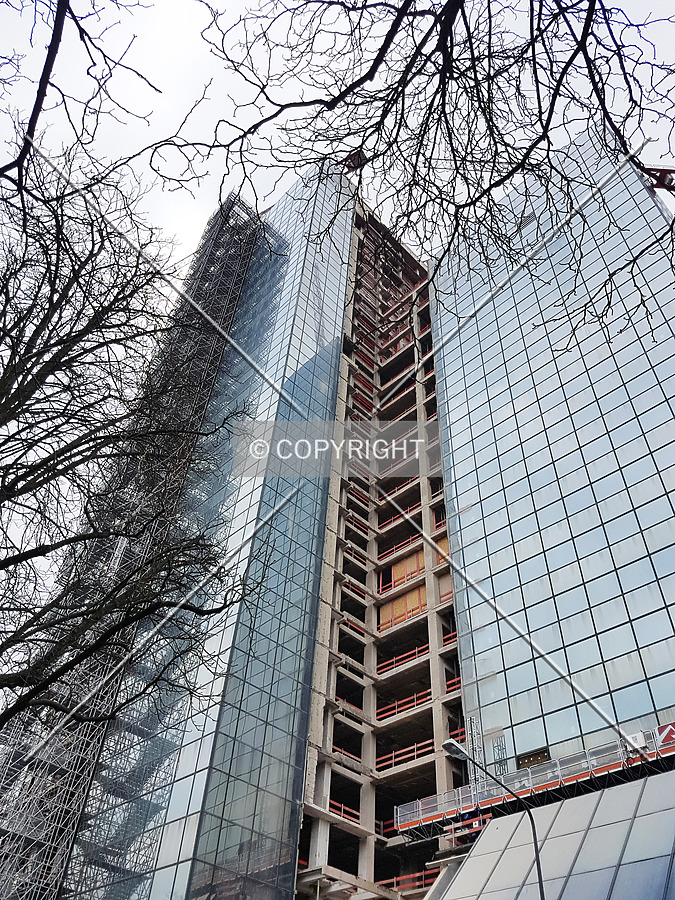 Photo 424-544-253