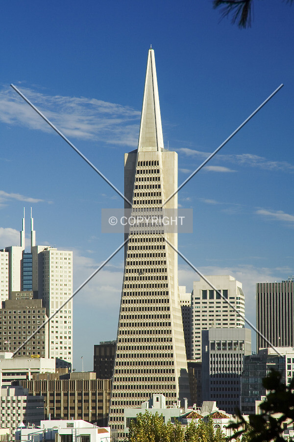 View from Telegraph Hill