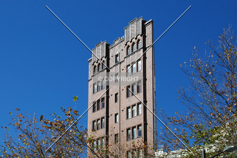 Photo 425-856-342