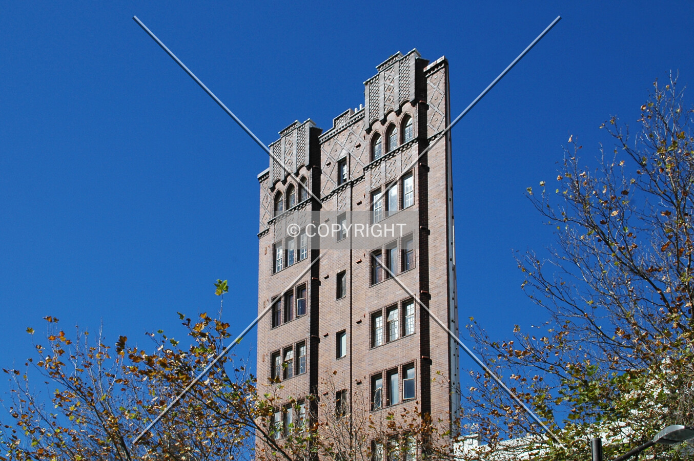 Photo 425-856-342