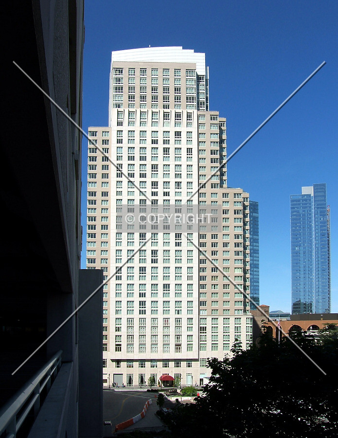 View from the east