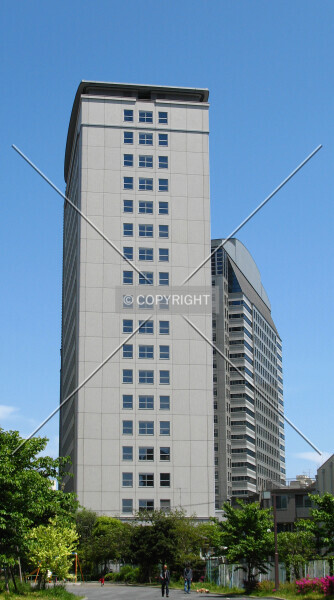 Photo 427-079-261